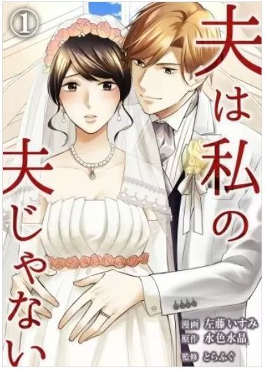 夫は私の夫じゃないのネタバレ 最終回 結末まで 夫の真の目的は